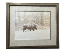 Vntg james bama for sale  Palm Springs