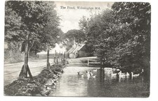 Wilmington pond eastbourne for sale  PICKERING