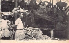 Guadeloupe passage canne d'occasion  France