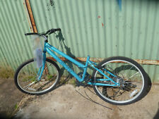 Pazzaz vivacity inch for sale  STAFFORD