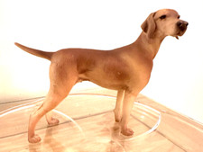 Hungarian vizsla .93 for sale  LONDON