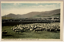 Sheep western meat for sale  Elverson