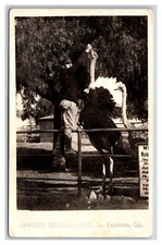 Rppc feeding time for sale  Bremerton