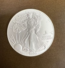 Silver 2025 american for sale  USA