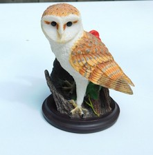 Barn owl bird for sale  TREHARRIS