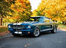 1966 shelby gt350 for sale  Dunellen