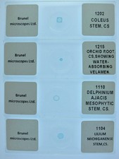 Vintage microscope slides for sale  BRISTOL