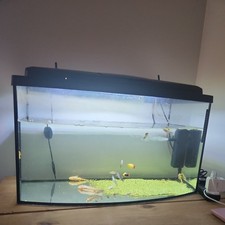 Glass fish tank for sale  LONDON
