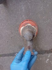 Echo strimmer drive for sale  BATHGATE