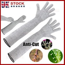 50cm long gardening for sale  MANCHESTER