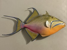 Queen triggerfish king for sale  Lemont