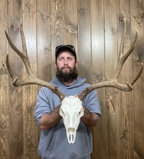 Dark perfect 5x5 for sale  Port Matilda