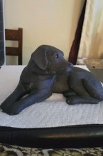 Sandicast black lab for sale  Jewett City