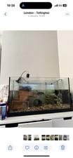 Fish turtle 100 for sale  LONDON