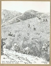 Earthworks rackham hill for sale  CAMBRIDGE
