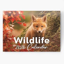 2026 british wildlife for sale  COVENTRY