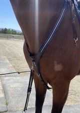 Antares full leather d'occasion  Expédié en Belgium