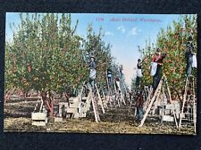 Washington apple orchard for sale  Portland