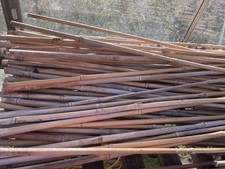 Bamboo canes 4ft for sale  TADWORTH
