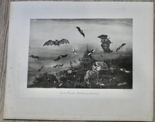 Antique engraving print for sale  BISHOP'S STORTFORD