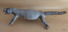 Taxidermy taxidermie tassiderm usato  Forlimpopoli