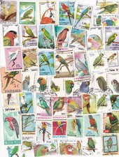 Briefmarken papageien sittiche gebraucht kaufen  Bretzfeld