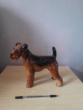 Rare airedale terrier for sale  OLDHAM