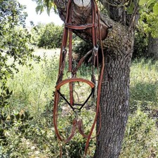 Rick blé nouvel d'occasion Rick blé nouvel d'occasion  Expédié en France