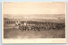Postcard wwi daily for sale  LLANFAIRFECHAN