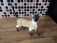 Leonardo siamese cat for sale  KING'S LYNN