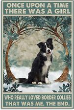 Border collie dog for sale  West Plains