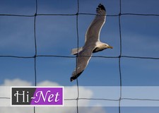 Garden netting 75mm for sale Garden netting 75mm for sale  HELSTON