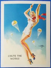 Postcard blonde paratrooper for sale  Salem