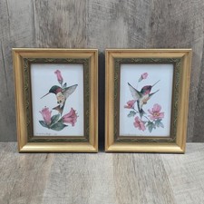 Carolyn shores wright for sale  Colbert