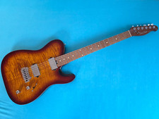 Harley benton gitarre gebraucht kaufen  Hildesheim
