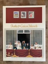 ILHAS TURCAS E CAICOS 1981 MNH PAINEL PRÍNCIPE CHARLES PRINCESA DIANA CASAMENTO  comprar usado  Enviando para Brazil