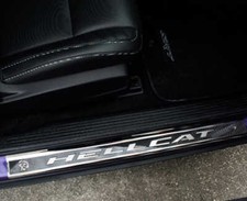 Door sills hellcat for sale  Hudson