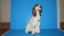Beautiful cocker spaniel for sale  Van Wert