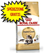 Royal canin gatto usato  San Felice Circeo
