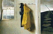 Yellow coat andrew for sale  Ventura