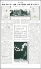 1903 prehistoric mammoths for sale  ASHFORD