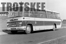 Larger negative strachan for sale  HIGH WYCOMBE