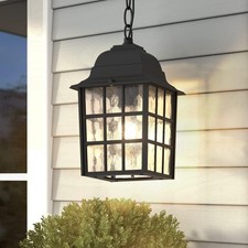 Outdoor pendant light for sale  Flint