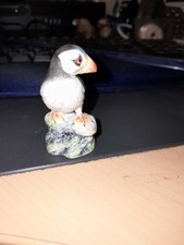 Albany england miniature for sale  COLERAINE