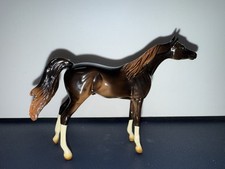 Peter stone arabian for sale  Astoria
