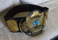 Wrestling championship belt gebraucht kaufen  Estorf