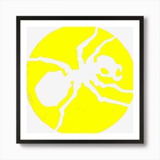 Prodigy bk00011 art for sale  UK