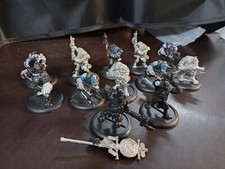 Warmachine hordes trollkin gebraucht kaufen  Münster