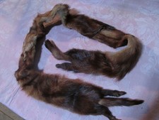 fourrure astrakan d'occasion fourrure astrakan d'occasion  Caluire-et-Cuire