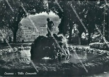 Ao687 cartolina cosenza usato  Tramonti